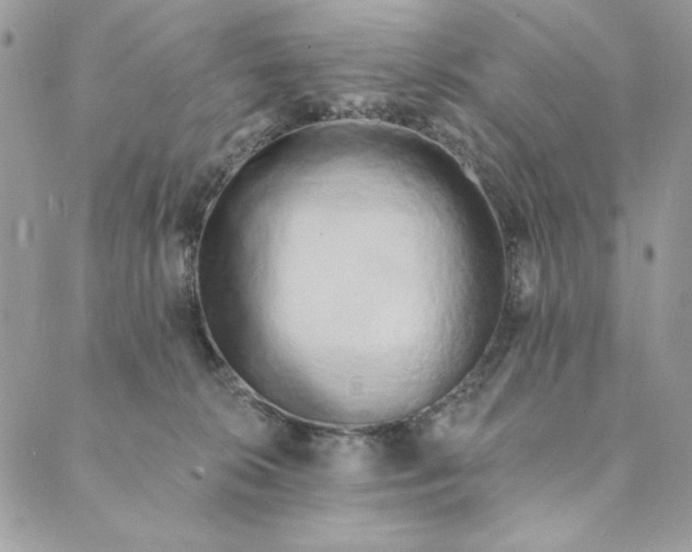 X0000088890276200706291447