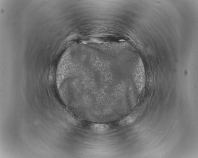 X0000088890277200706291447