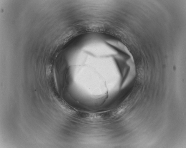 X0000088890278200706291447