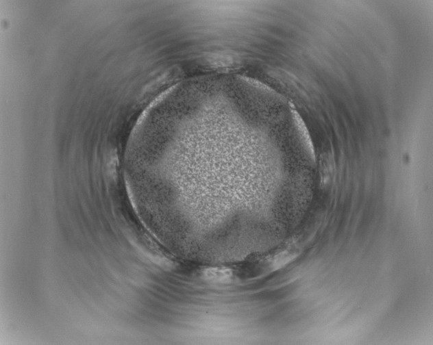 X0000088890279200706291447