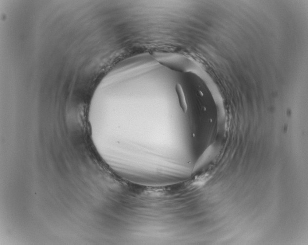 X0000088890280200706291447