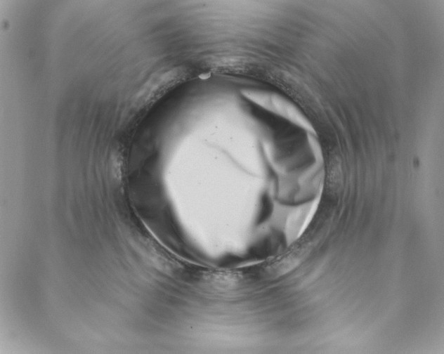 X0000088890282200706291447