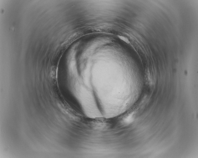 X0000088890284200706291447