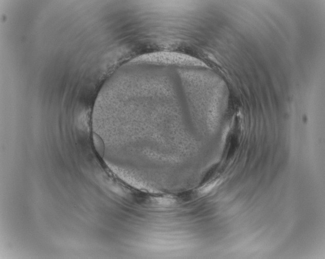 X0000088890286200706291447