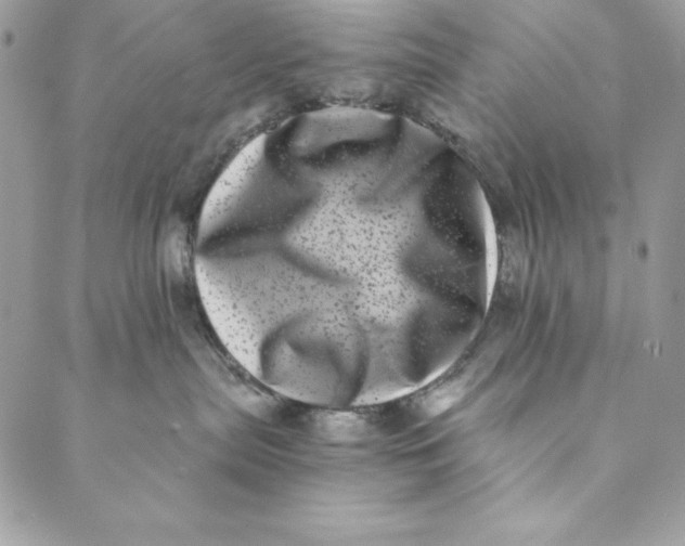 X0000088890287200706291447