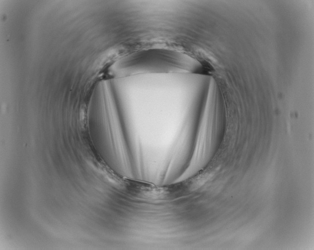 X0000088890288200706291447