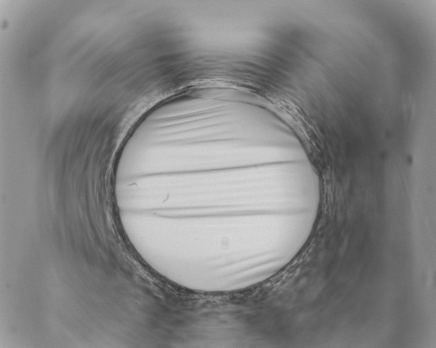 X0000088890289200706291447