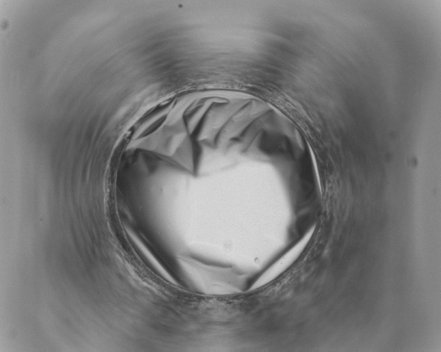 X0000088890290200706291447