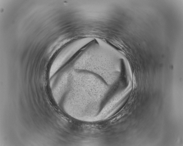 X0000088890291200706291446