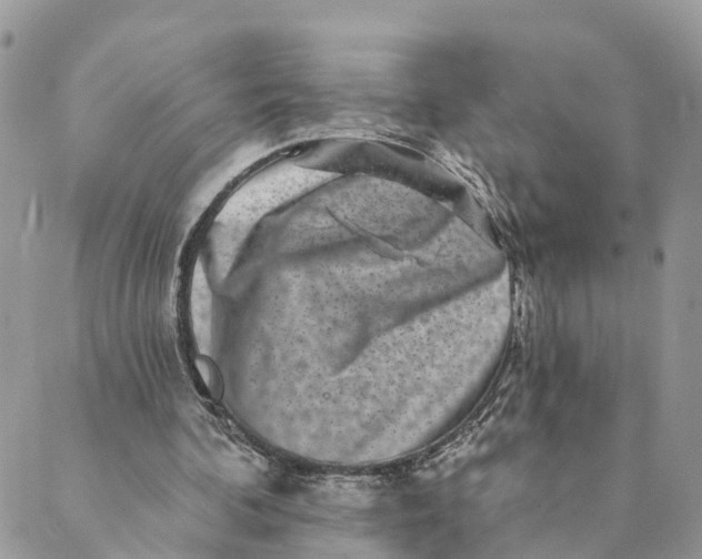 X0000088890292200706291446