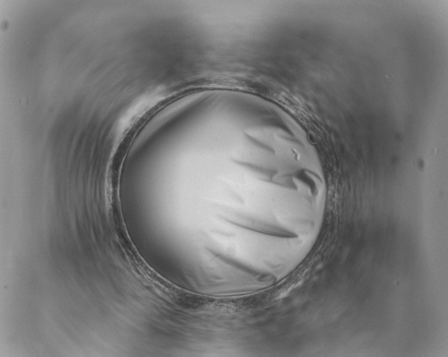 X0000088890294200706291446