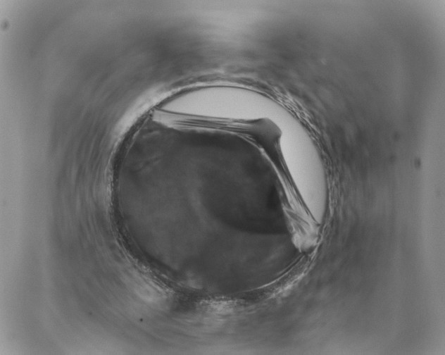 X0000088890295200706291446