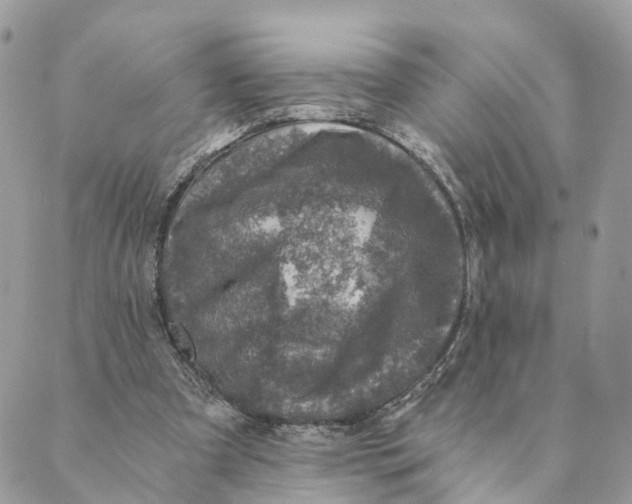 X0000088890297200706291446