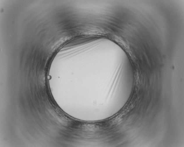 X0000088890298200706291446