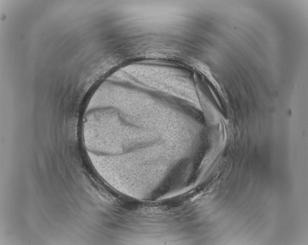 X0000088890299200706291446