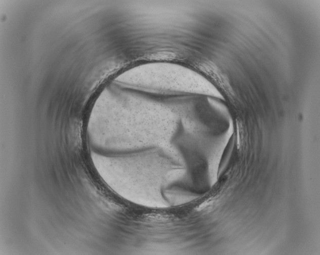 X0000088890300200706291446