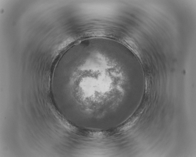 X0000088890301200706291446