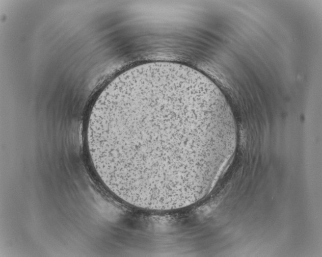 X0000088890302200706291446