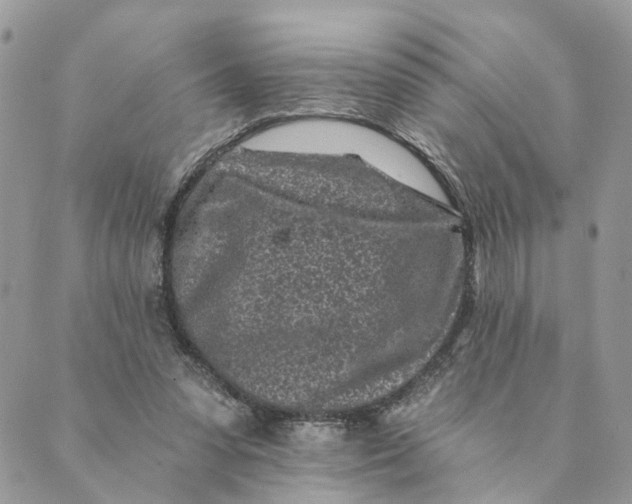 X0000088890303200706291446