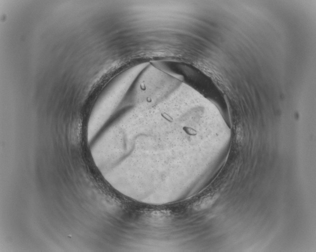 X0000088890304200706291446