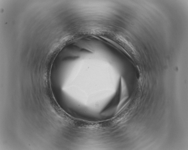 X0000088890306200706291446