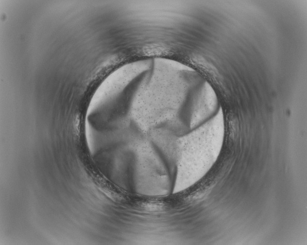 X0000088890308200706291446