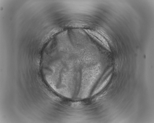 X0000088890309200706291446