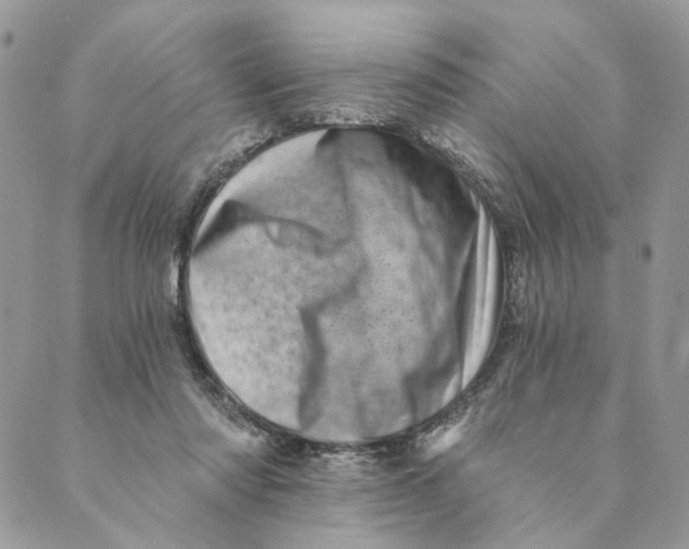 X0000088890310200706291446