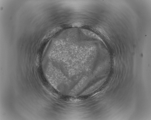 X0000088890311200706291446