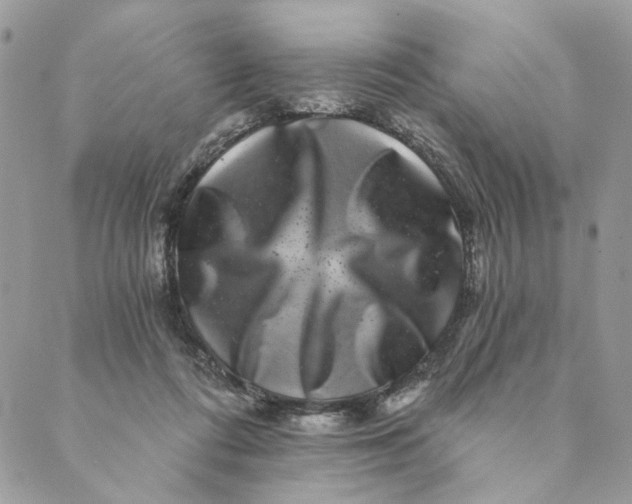 X0000088890312200706291446