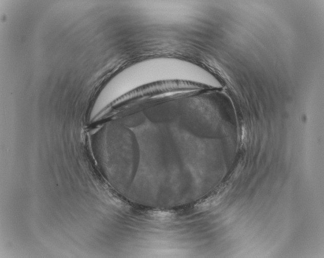 X0000088890313200706291446