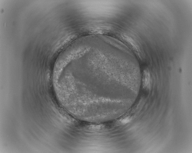 X0000088890314200706291446