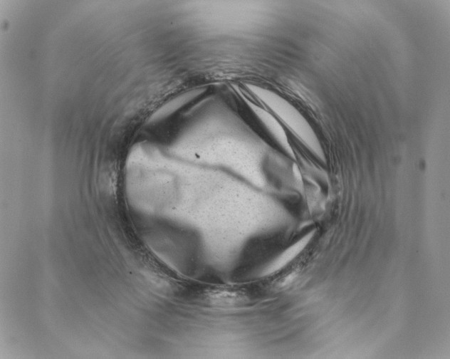 X0000088890315200706291446