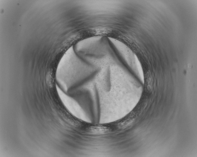 X0000088890316200706291446