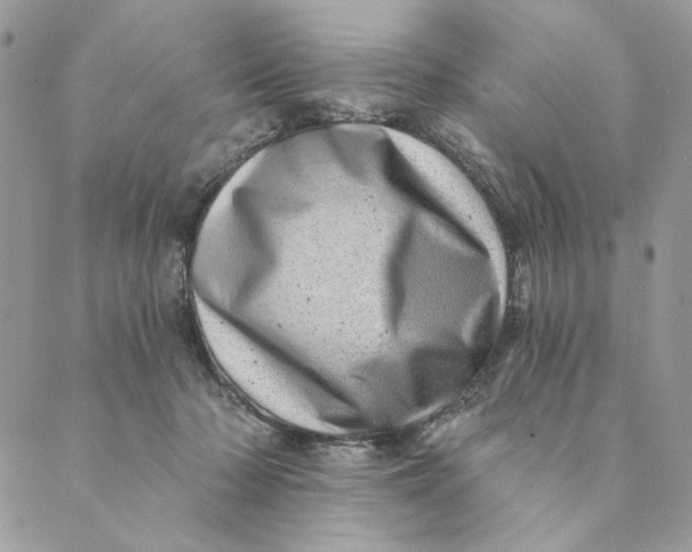 X0000088890318200706291446