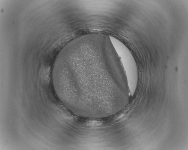 X0000088890319200706291446