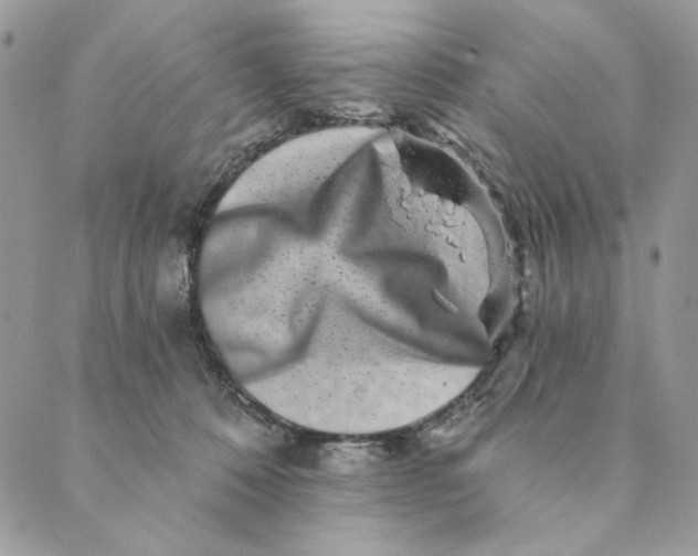 X0000088890320200706291446