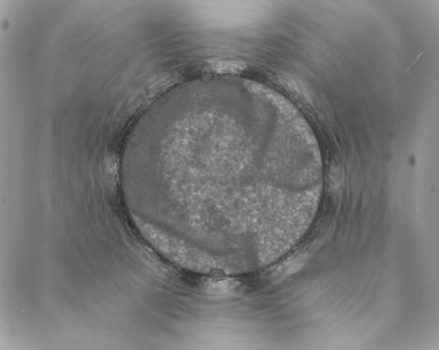 X0000088890321200706291446