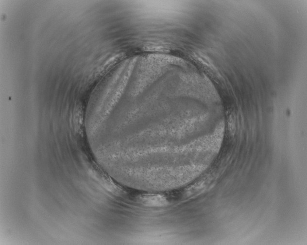 X0000088890322200706291446