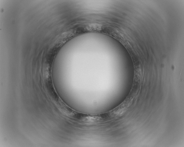 X0000088890323200706291446