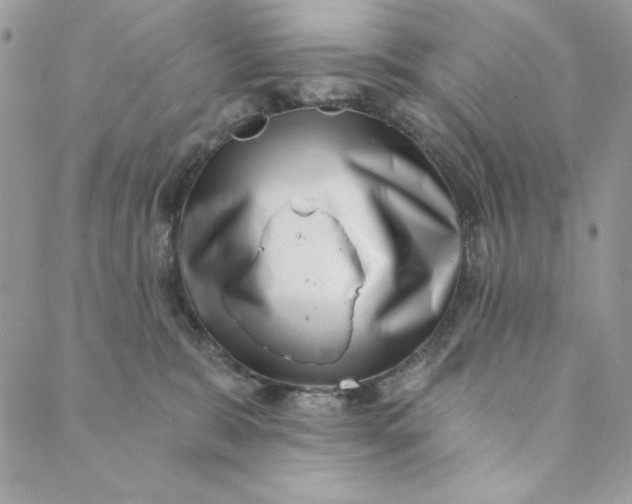 X0000088890327200706291446