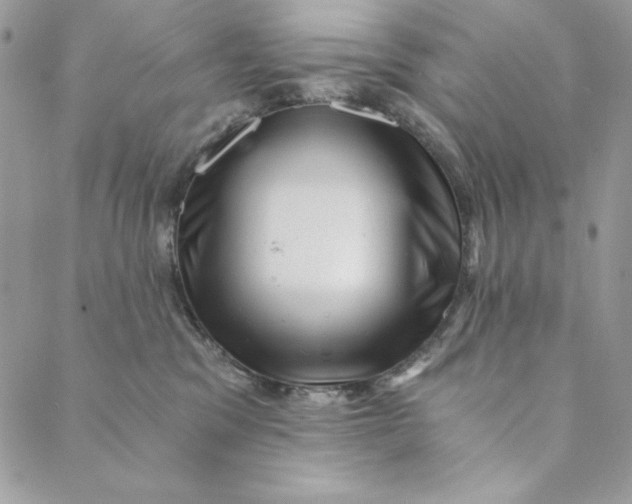 X0000088890329200706291446