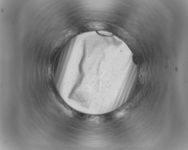 X0000088890330200706291446