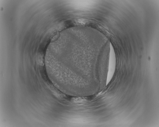 X0000088890331200706291446