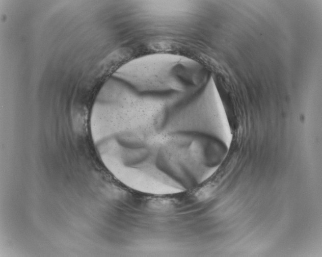 X0000088890332200706291446