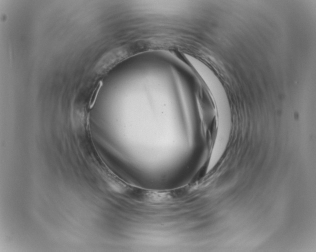 X0000088890333200706291446