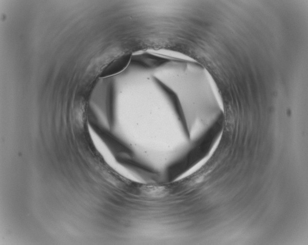 X0000088890334200706291446