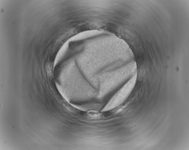 X0000088890335200706291446