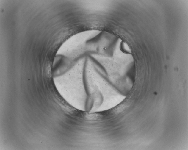 X0000088890336200706291446