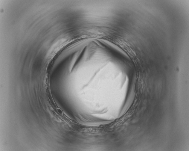 X0000088890338200706291445